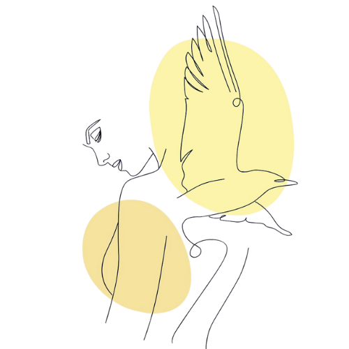 Orentación Vocacional